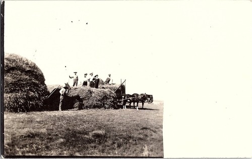 Rppc carro agricolo - rppc, di