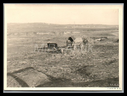 Foto ww2 lvk - foto,, ww2,