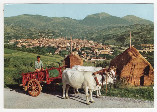 Teramo panorama con carro - con,