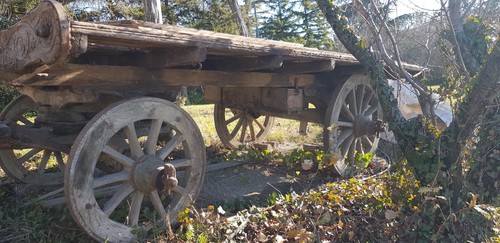 Carro agricolo legno - carro, in