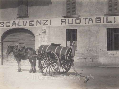 Foto carro agricolo - , cavallo