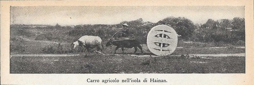Carro agricolo nell isola - carro, di